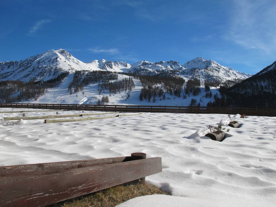 Giardino innevato