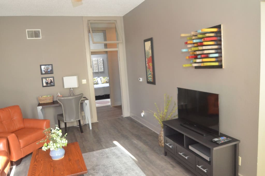 Colorful furnishings & flat screen television