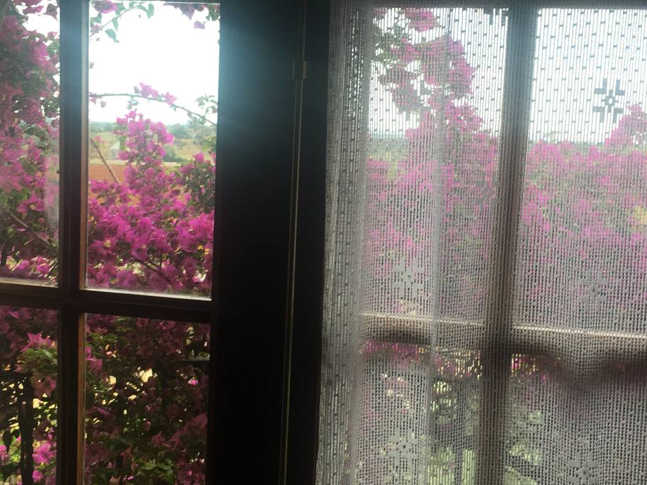 Vistes d'una de les suites