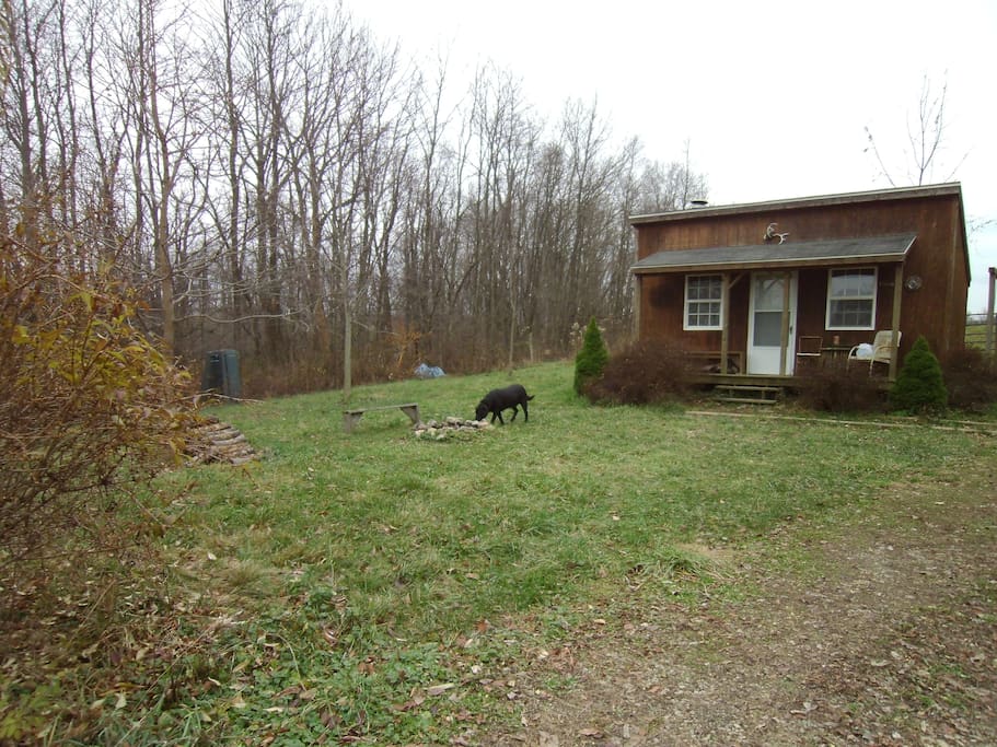 Outside view of cabin