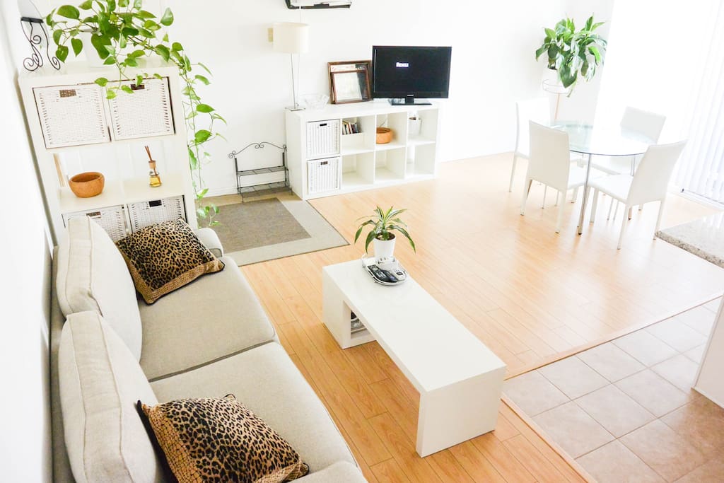 Super comfortable couch that can sleep 1 person