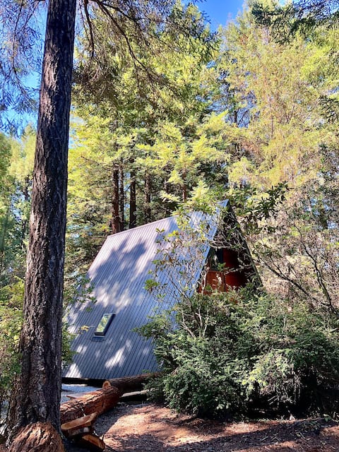 Stunning A-Frame Cabin surrounded by redwoods.