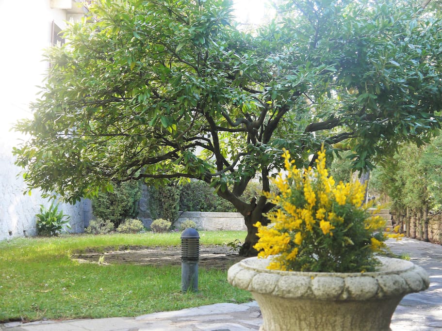 Detalle de los jardines