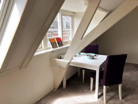 Sunny private room near Central Station Utrecht