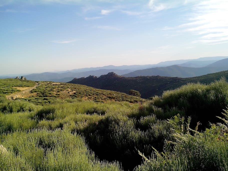 Chemin des Bouzede sur le Mont Lozere