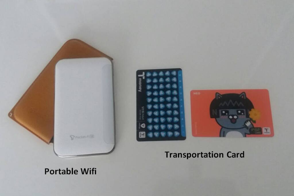 Free Portable Wifi and transportation cards