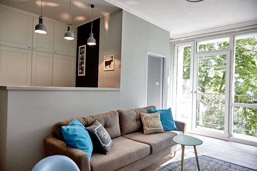 living room and convertible sofa (140cm)
