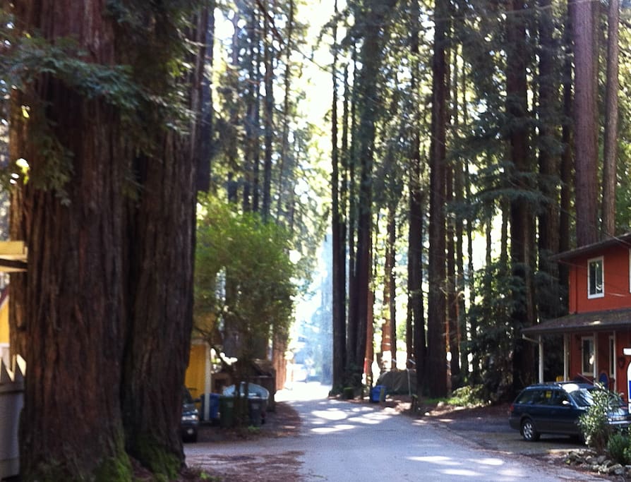 A look down the road