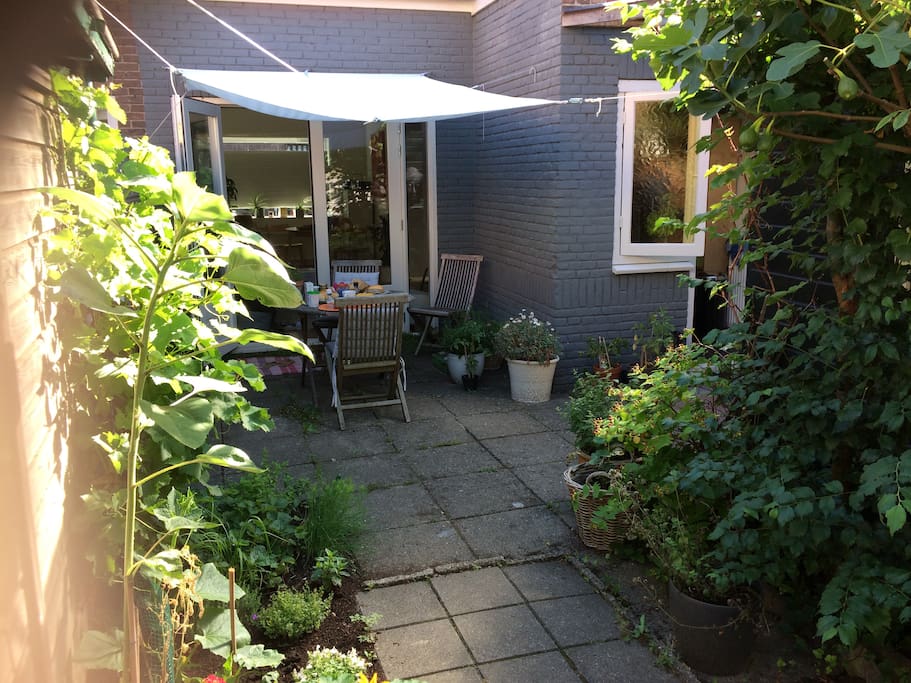 Garden on south side