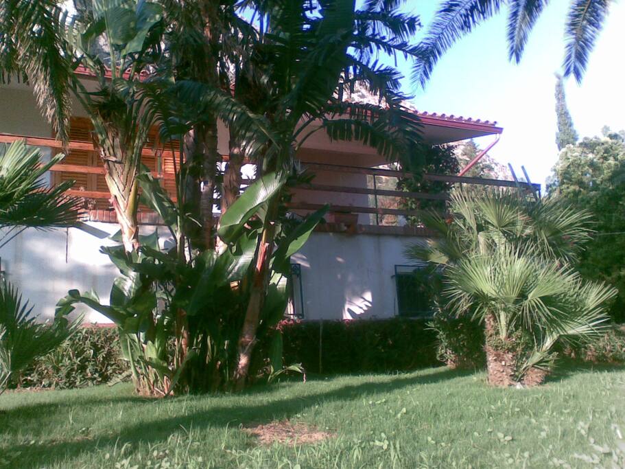 il giardino e prato fruibile dagli ospiti