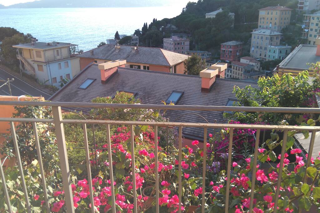 Panoramica dal terrazzo