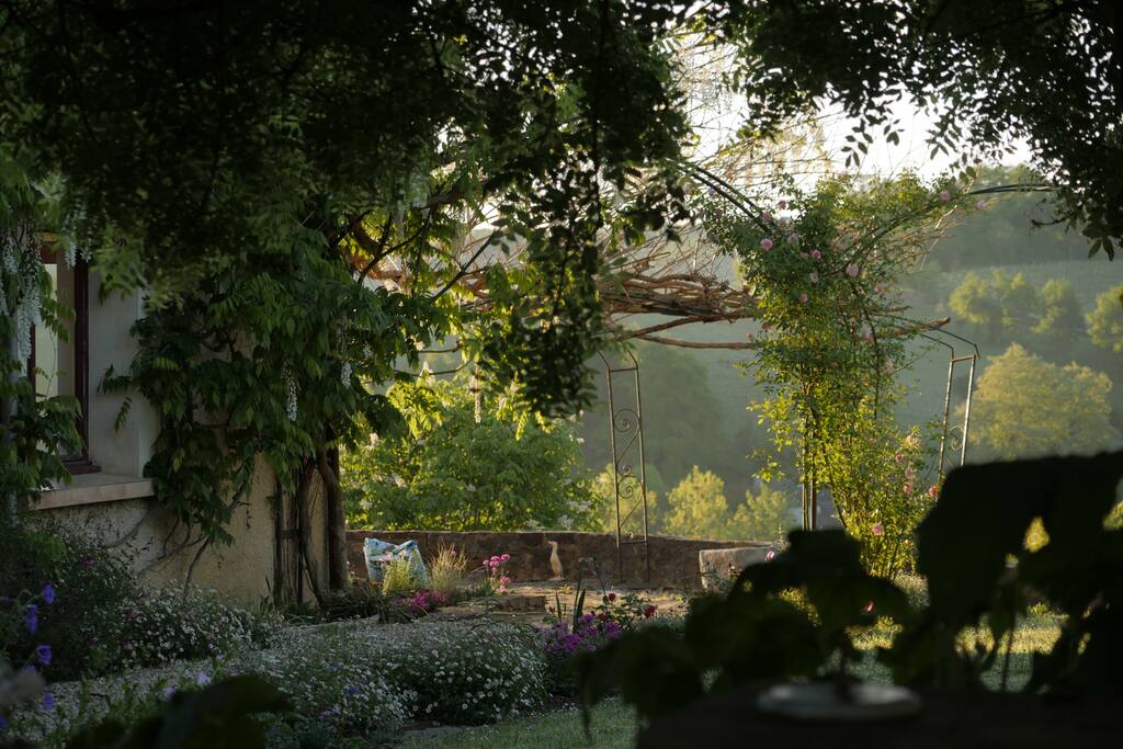 The garden