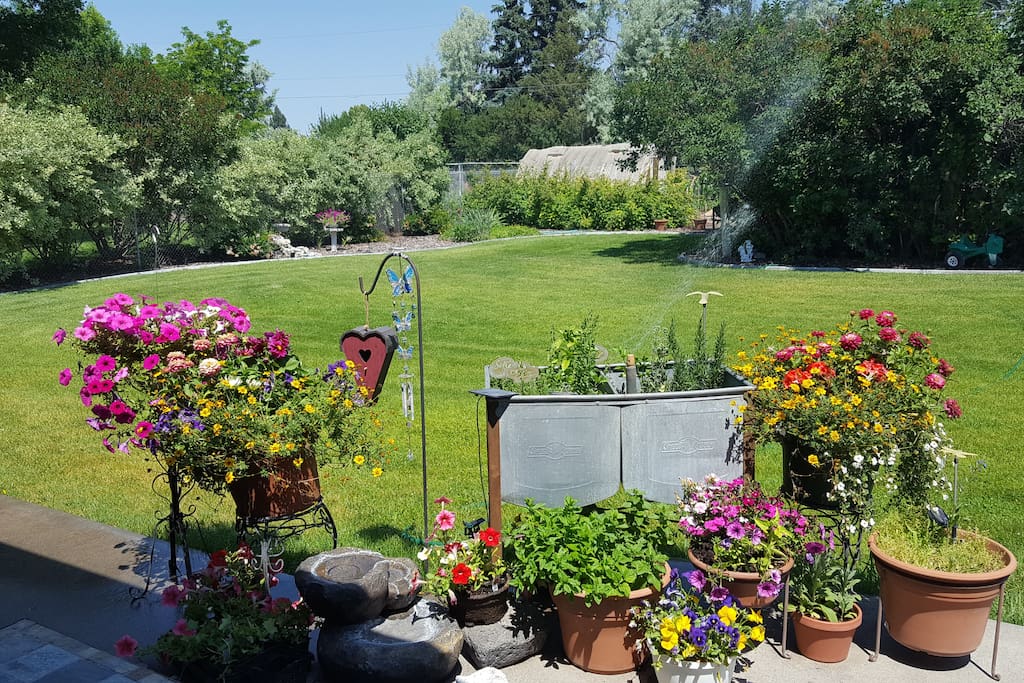 Backyard View -- Greenhouse and Garden