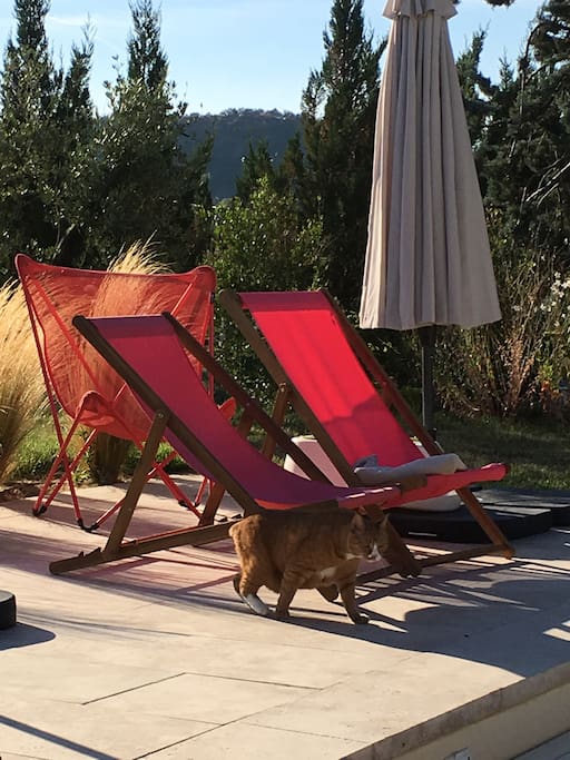 Terrasse autour de la piscine