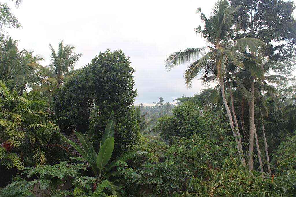 Natural and green view from the bedroom