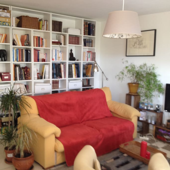 Salon spacieux lumineux