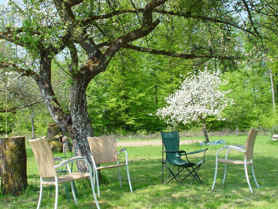 Het is heerlijk vertoeven onder onze appelbomen