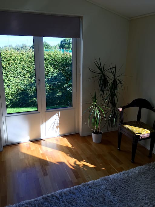 Big door to our garden in the room.