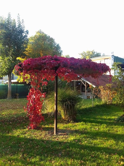 front yard
