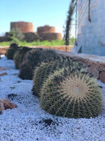 Villa Lumière Salento gallery image 5