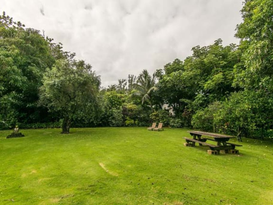 Spacious Yard