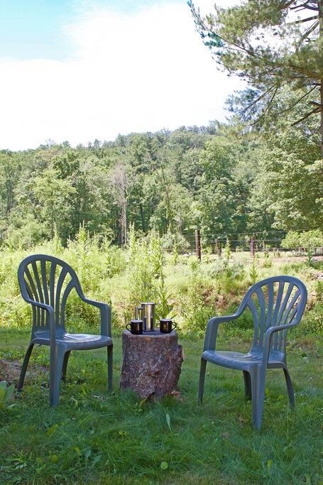 Coffee or tea in the morning in your private sitting area. Note: this area is roughly 20 feet from the shared picnic table and 30 feet from the shared fire pit. There is a privacy planting of wildflowers between the areas.