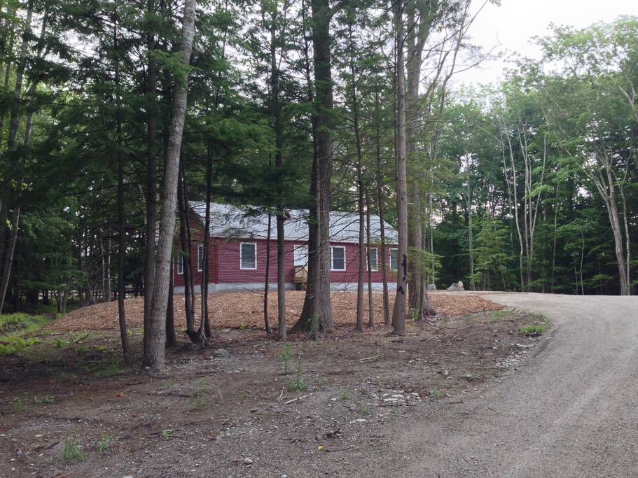 House is nestled in woods next to horse farm