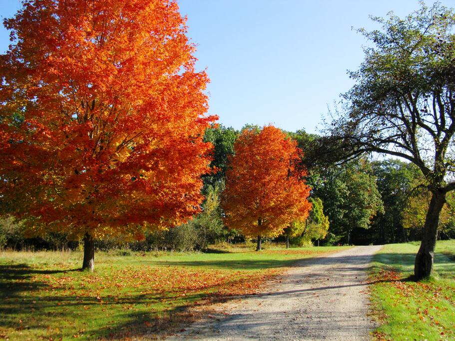 Take a stroll....