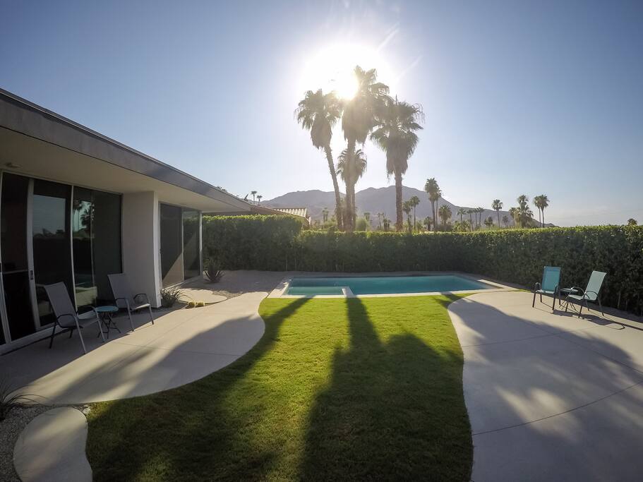 Pool/Backyard