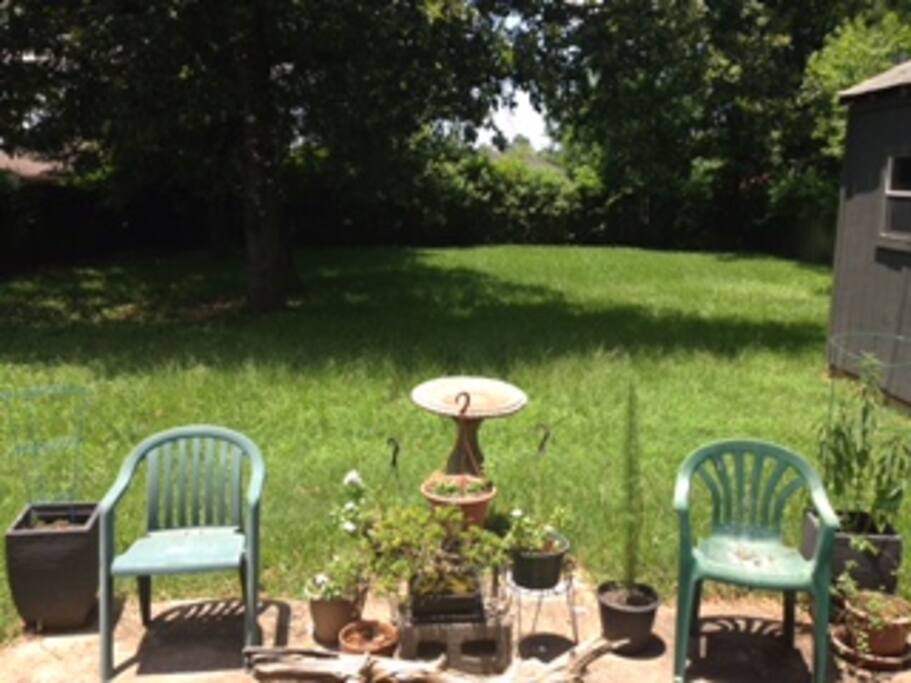 Our backyard.