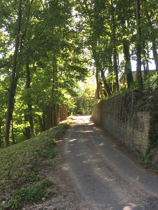 Chemin d'accès du portail aux parking.