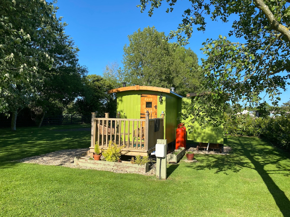 A vibrant green shepherd's hut is surrounded by lush grass and trees. The hut features a small wooden veranda with a simple railing, leading to the entrance. Nearby, a red water pump and flower pots add color to the tranquil outdoor setting.