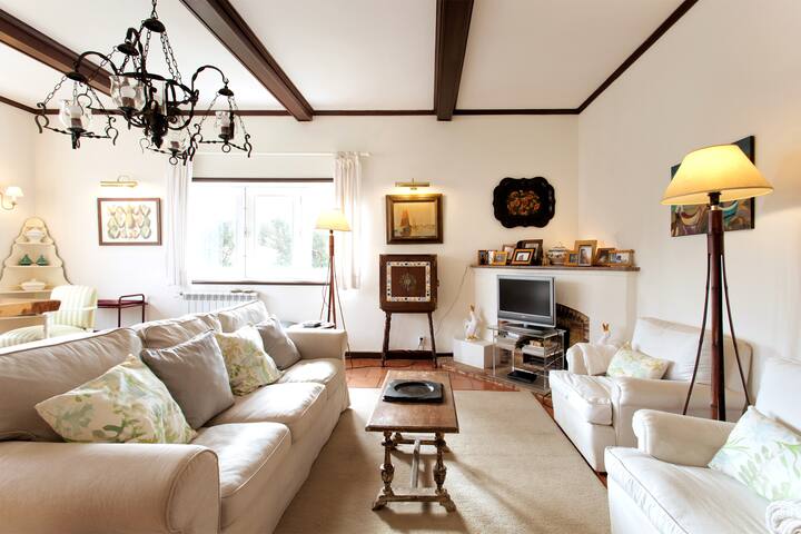 Beach house in Miramar gallery image 4