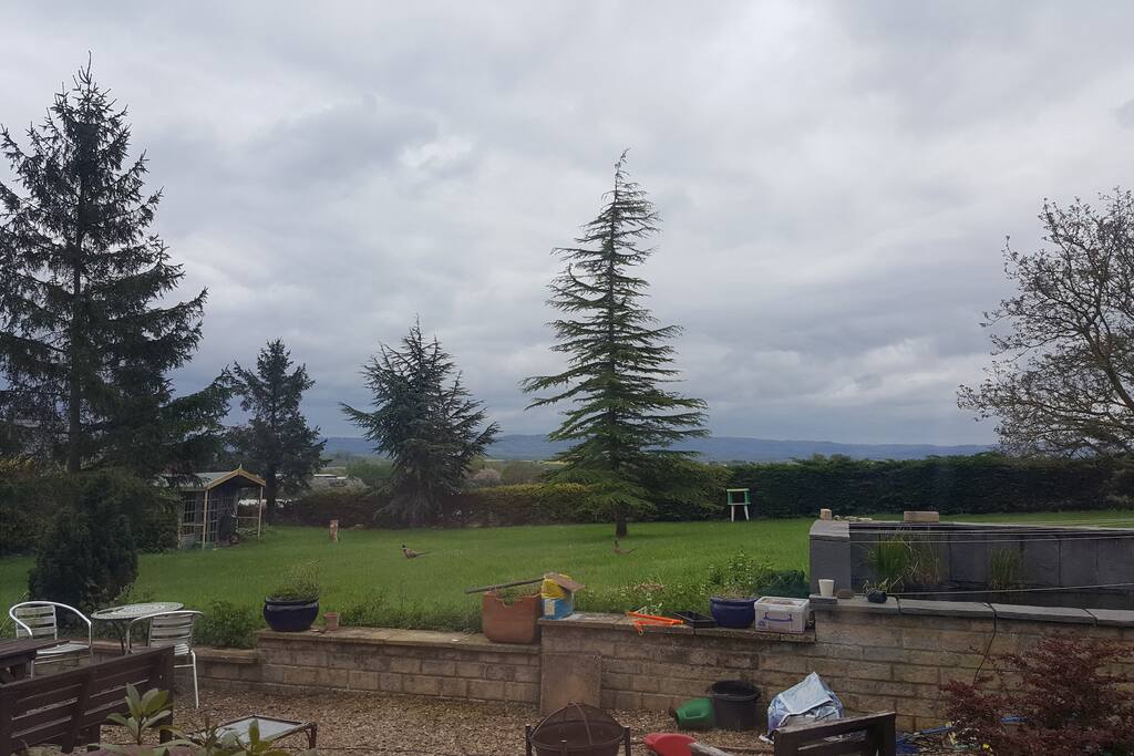 The Garden, from the kitchen