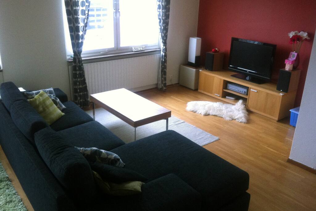 Large living/dining room - tv with mac mini