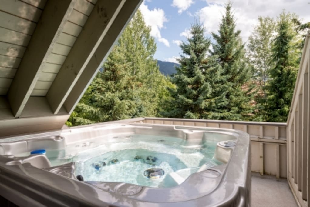 Brand new private 6 person Hot Tub off of Master Bedroom.