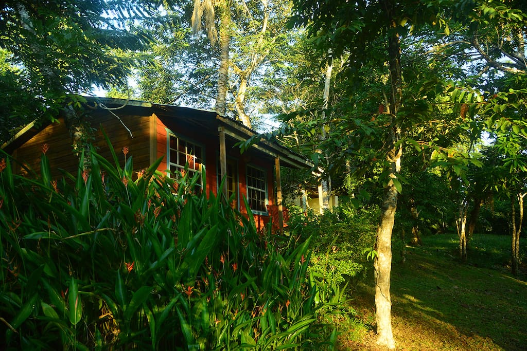 Waking up in jungle feels awesome