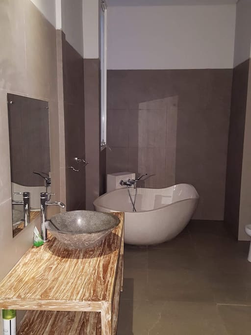 Bathroom + shower+ bathtub