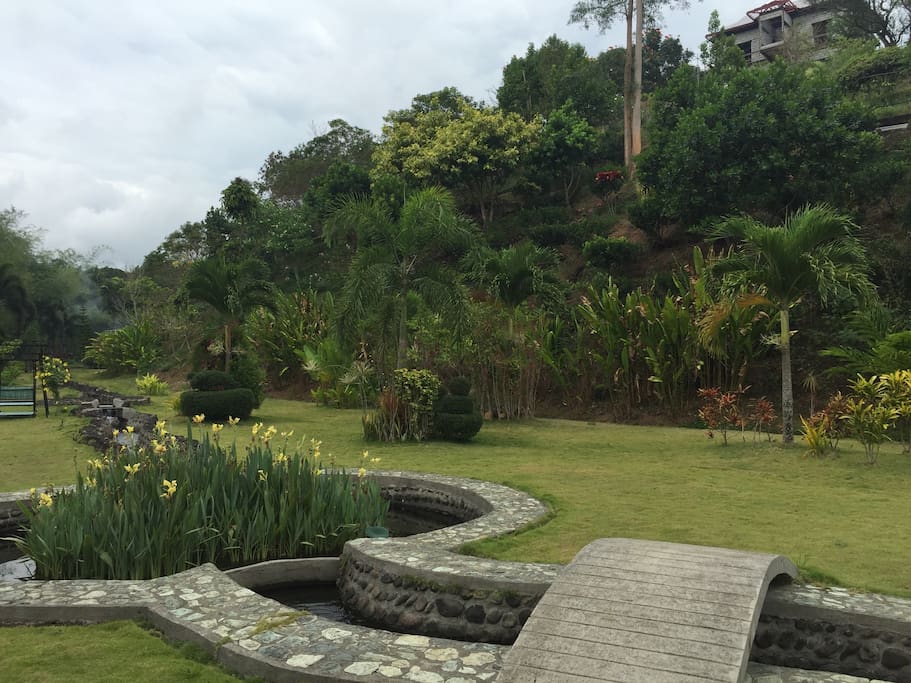Riverside garden
