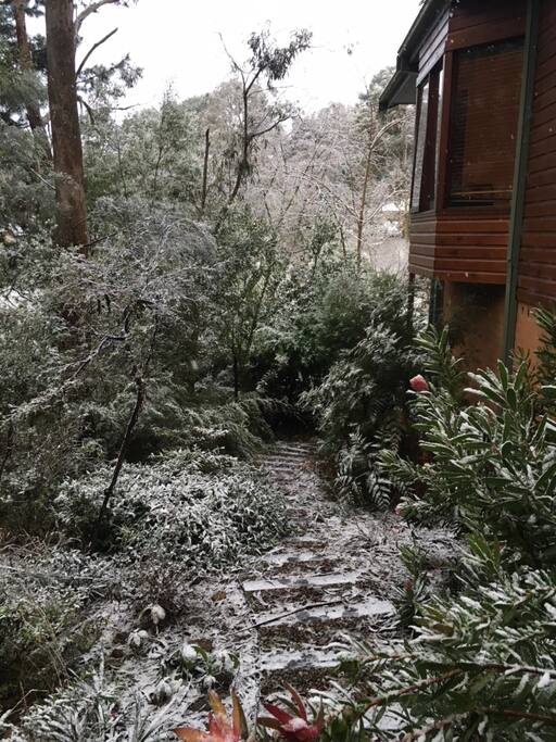 Snow dusted garden (June 2016)