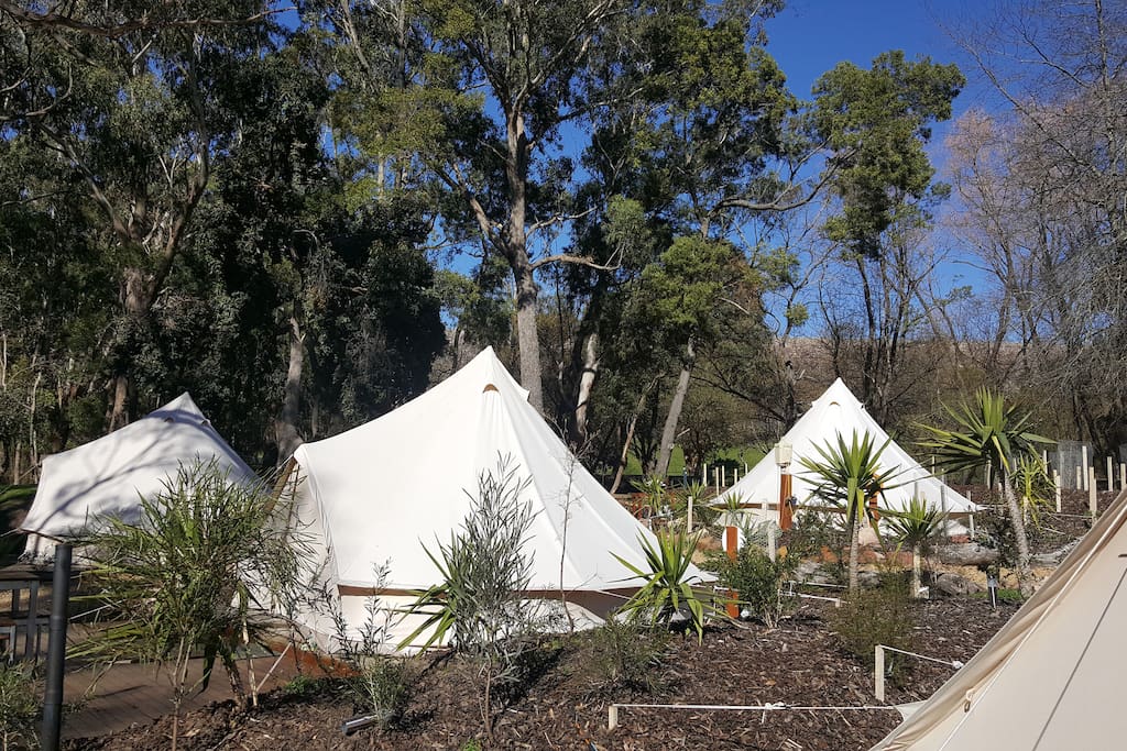 Glamping in the Grampians