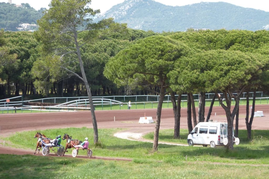 Le champ de course : un cadre reposant