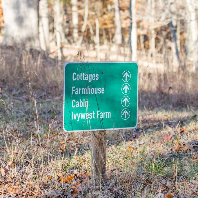Head to the cottages