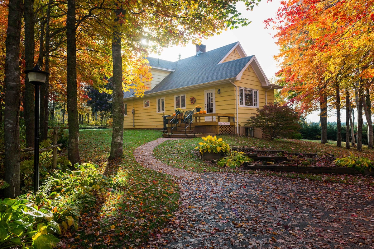A cozy yellow cabin is nestled among vibrant autumn trees, with leaves in shades of orange and red. A winding pathway leads to the entrance, surrounded by scattered foliage. Sunlight filters through the trees, creating a warm and inviting atmosphere.