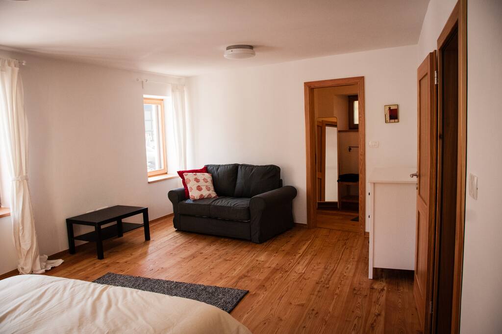 Master bedroom with sleeper couch
