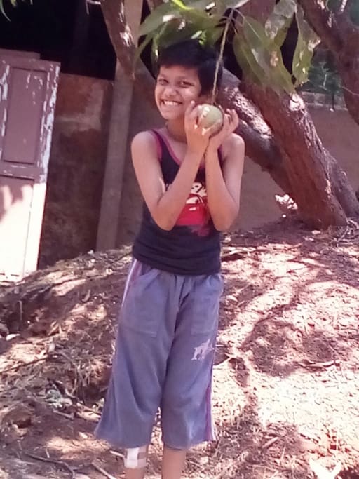 Guest Enjoying Mangoes