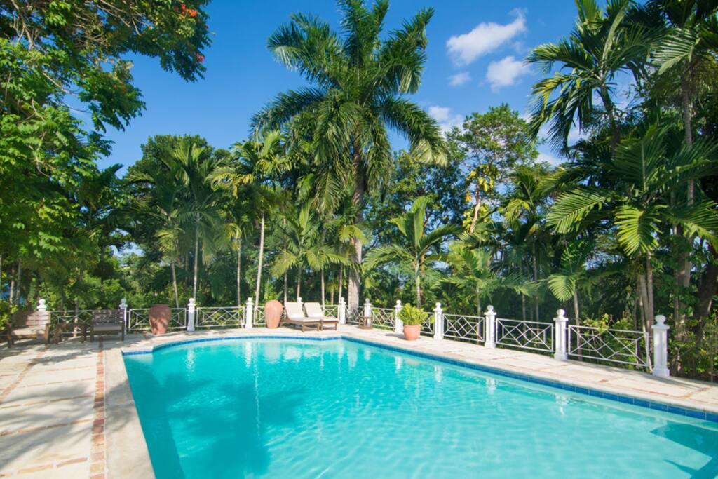... fringed by Royal Palms.