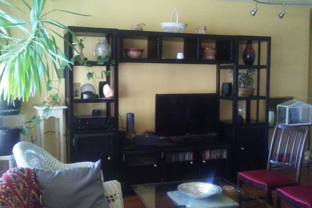 This is my entertainment center, featuring a TV, stereo and romantic lighting