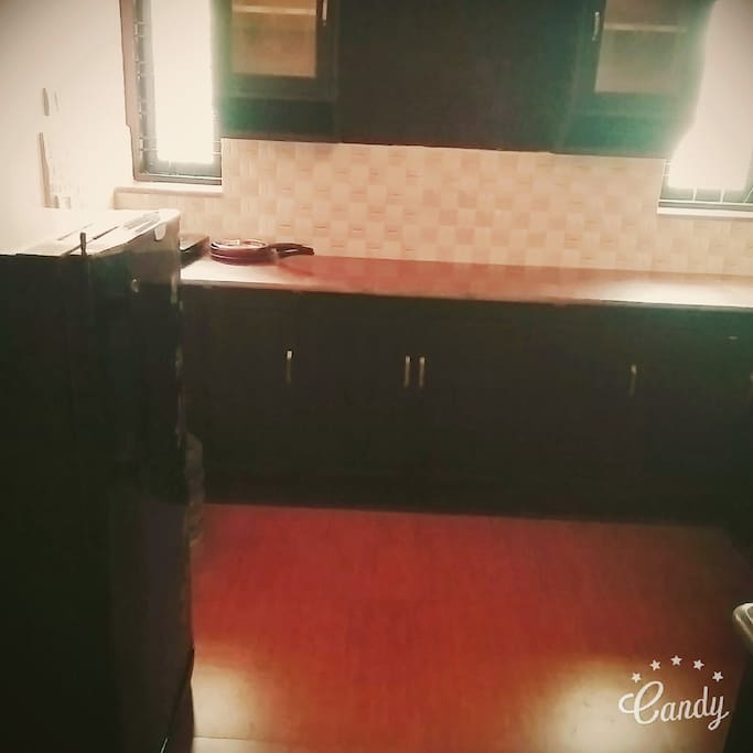 Kitchen-provided with fridge and induction stove (gas stove provided on request)