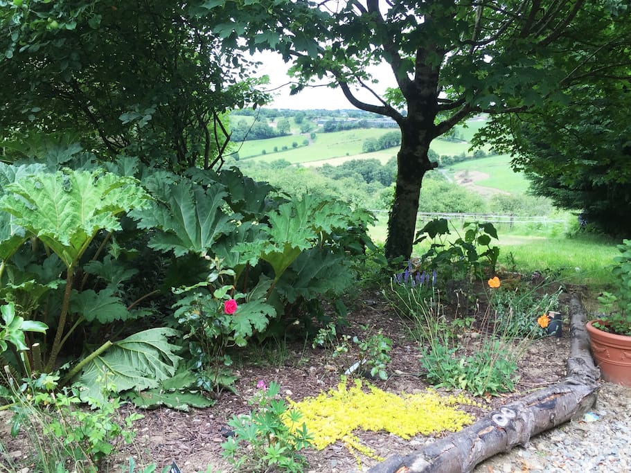 Our Garden